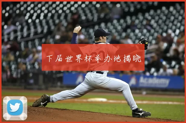 下届世界杯举办地揭晓