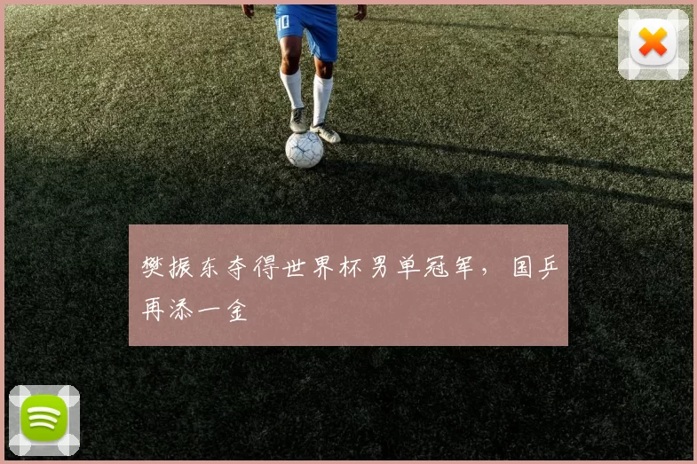 樊振东夺得世界杯男单冠军,国乒再添一金
