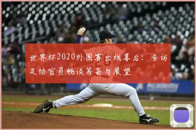 世界杯2020外围赛出线幕后:专访足协官员畅谈筹备与展望