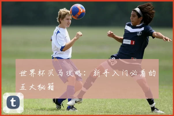 世界杯买马攻略:新手入门必看的五大秘籍