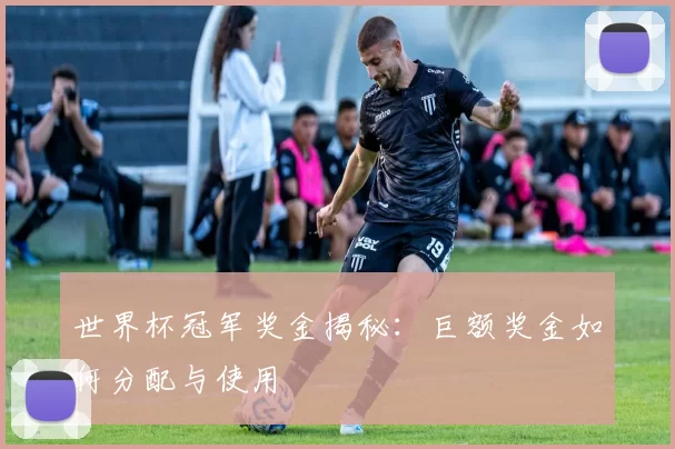 世界杯冠军奖金揭秘：巨额奖金如何分配与使用