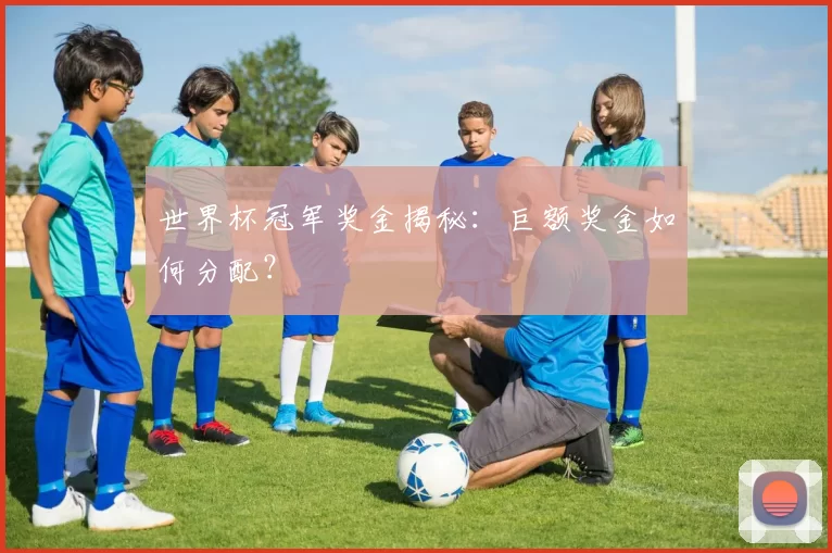 世界杯冠军奖金揭秘：巨额奖金如何分配？