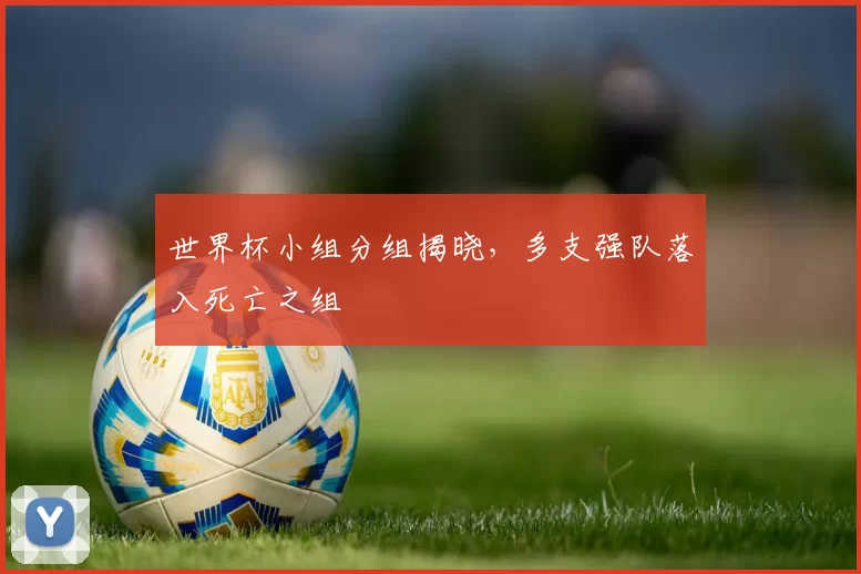 世界杯小组分组揭晓,多支强队落入死亡之组