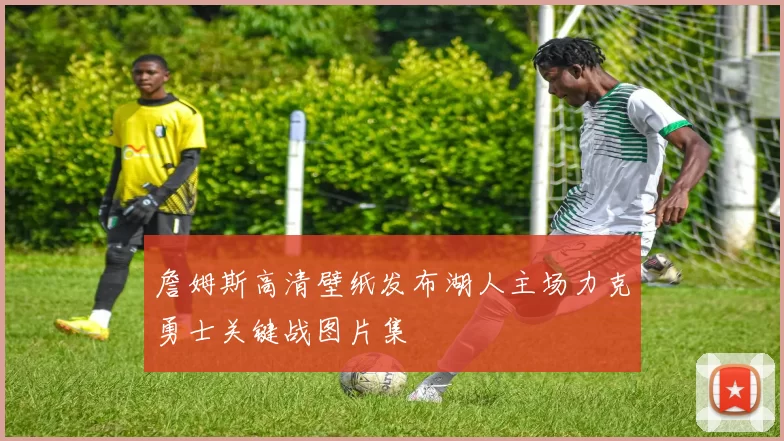 詹姆斯高清壁纸发布湖人主场力克勇士关键战图片集
