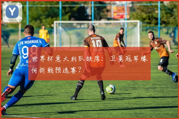 世界杯意大利队缺席：卫冕冠军缘何折戟预选赛？