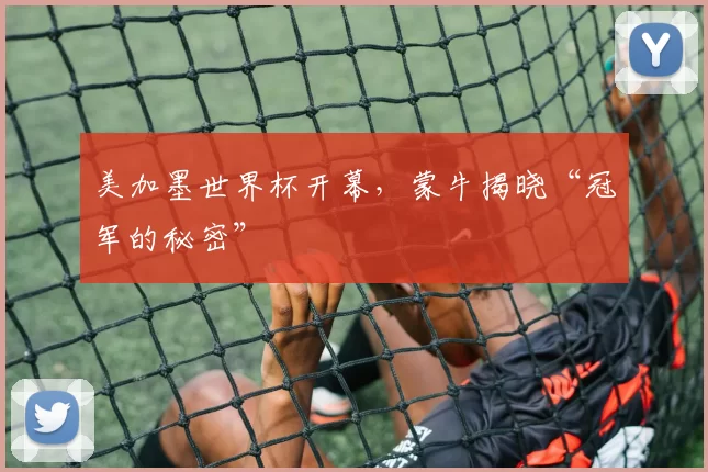 美加墨世界杯开幕，蒙牛揭晓“冠军的秘密”