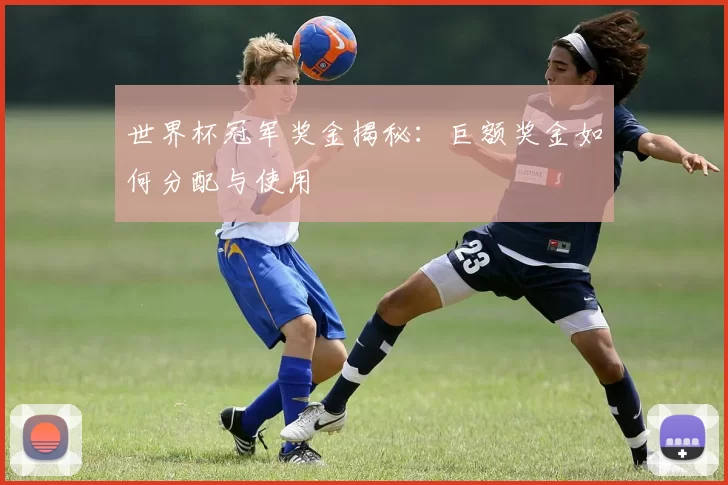 世界杯冠军奖金揭秘：巨额奖金如何分配与使用