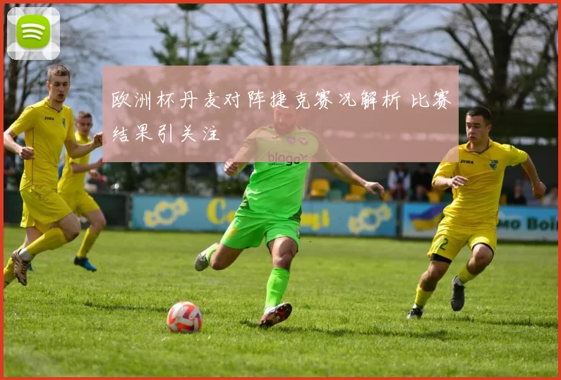 欧洲杯丹麦对阵捷克赛况解析 比赛结果引关注