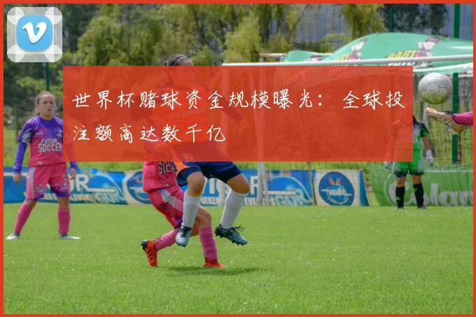 世界杯赌球资金规模曝光：全球投注额高达数千亿