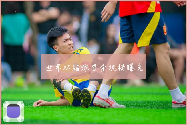 世界杯赌球资金规模曝光