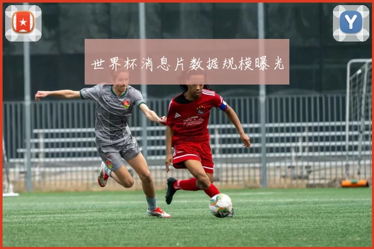 世界杯消息片数据规模曝光