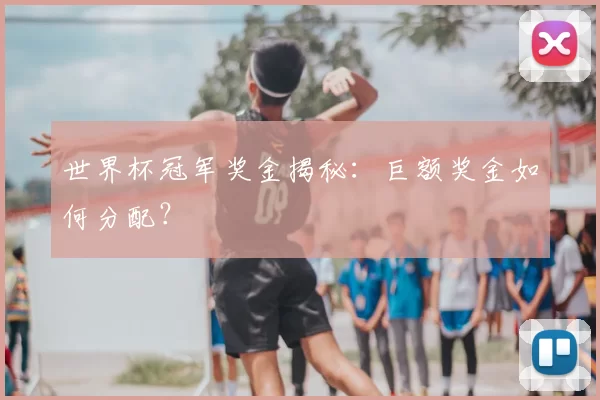 世界杯冠军奖金揭秘：巨额奖金如何分配？