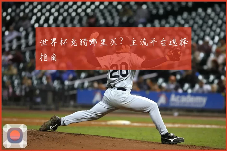 世界杯竞猜哪里买?主流平台选择指南