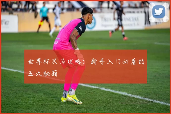 世界杯买马攻略:新手入门必看的五大秘籍