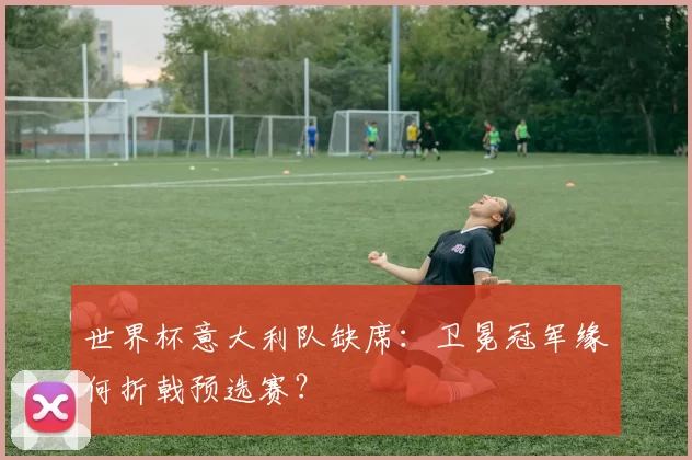 世界杯意大利队缺席：卫冕冠军缘何折戟预选赛？