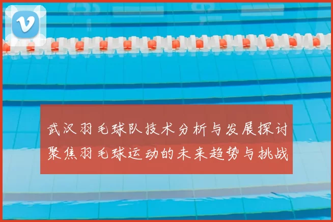 武汉羽毛球队技术分析与发展探讨聚焦羽毛球运动的未来趋势与挑战